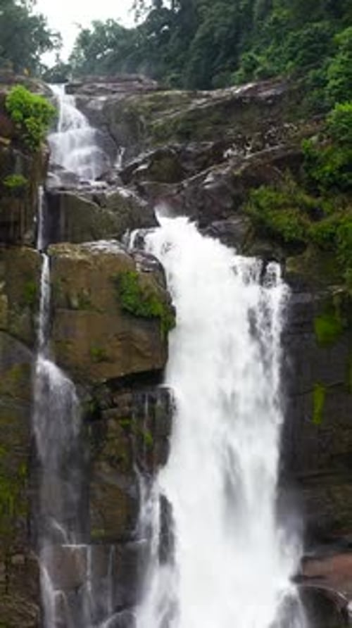 Waterfall in a Tropical Forest