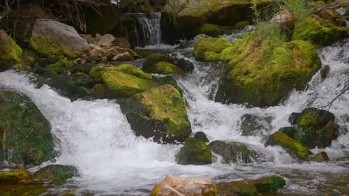Waterfall Over Mossy Rocks In Forest - Slow Motion