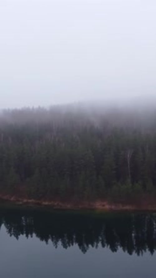 Foggy Forest Reflected in Lake, Misty and Calm Landscape