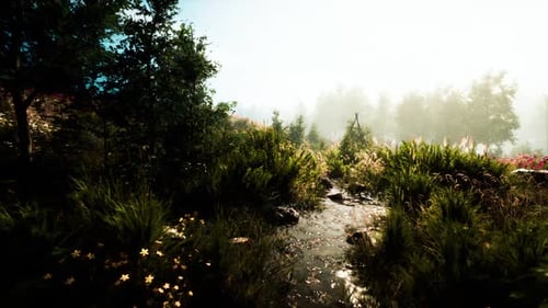 Lush Greenery Along a Serene Stream in a Tranquil Setting at Dawn