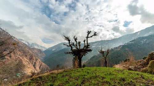 Timelapse of clouds over a dry tree in mountains