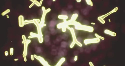 Animated Abstract Microscopic Organisms Background