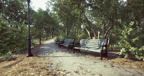 Park with Benches Surrounded By Greenery and a Walking Path in Daylight
