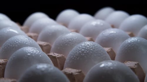 Fresh White Eggs in Carton, Close Up Shot