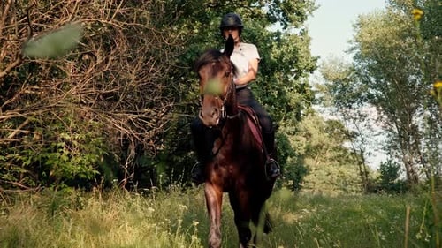 Portrait Ein Reiter in professioneller Ausrüstung reitet mit seinem schönen Pferd im Wald spazieren