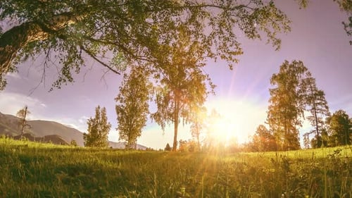 Mountain Meadow Timelapse at the Summer or Autumn Time Wild Nature and Rural Field Motorised Slider