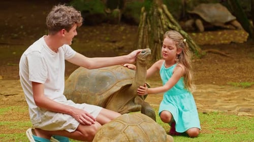 Children Pet the Head of a Rare Giant Turtle on the Tropical Island of Mauritius