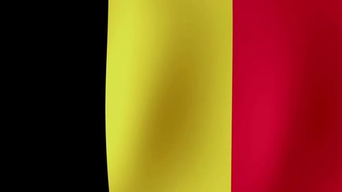 Realistic Looping Waving Flag of Belgium Vertical Animation