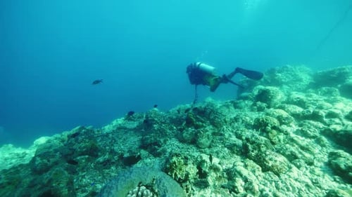 Man Diver Diving Underwater and Admiring Beauty of Underwater Area