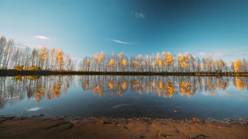 Autumn Forest Woods Lake Coast