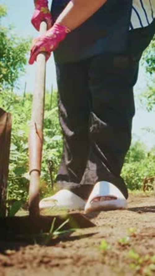 A Gardener Cultivating Soil with a Hoe in a Lush Green Garden Showcasing the Art of Tending to