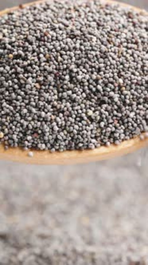 Vertical video. A background of poppy seeds, with a handful of poppy seeds spilling out.