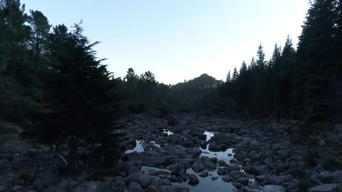 Aerial View of the Mountain River Between the Forest