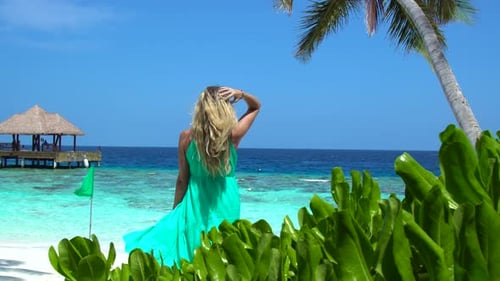 Frau steht an einem Strand auf den Malediven und blickt auf das Meer mit tropischer Vegetation und einem Holz