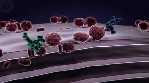 Medical illustration of bacteria and cells on skin surface
