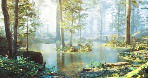 Tranquil Forest Landscape with Serene Pond During Early Morning Light
