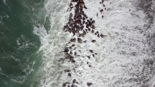 Waves Crashing Rocks from Above