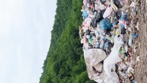 Pile of Garbage Next to Forest