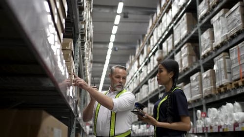 Logistics employees are working warehouse.