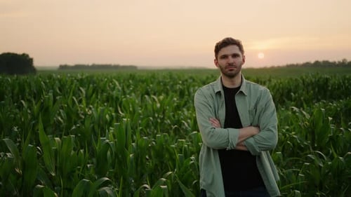 Adult Man Standing in Cornfield at Sunset