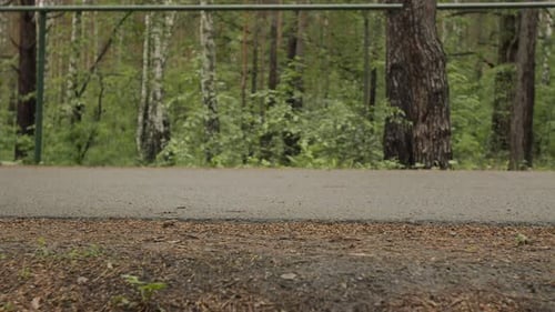 Legs of Man Jogging on Park Road