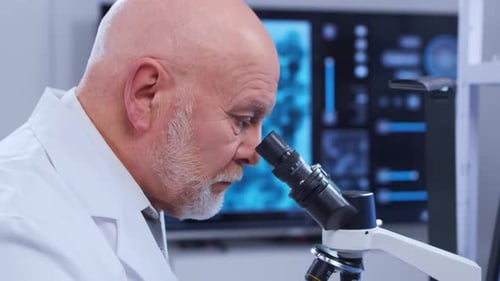 Senior Scientist Examines Sample through Microscope in Laboratory