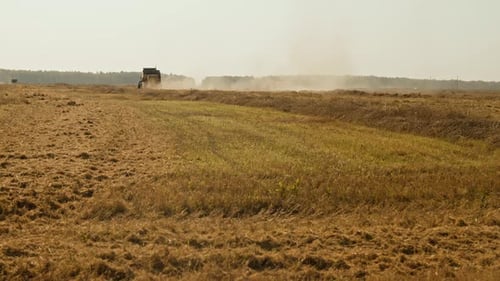 Half Harvested Wheat Field with Combine Harvester
