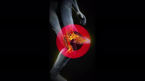 Human Foot and Ankle Nerves Medical Pain Animation