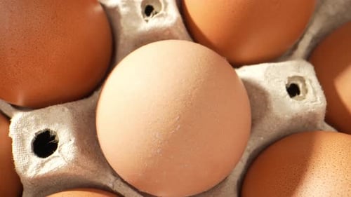 Video showcases fresh, immaculate eggs delicately arranged in a paper tray