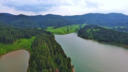 Lake with Clear Water and Stone Shore in Spruce Forest with Fir Trees Against a Daytime Sky
