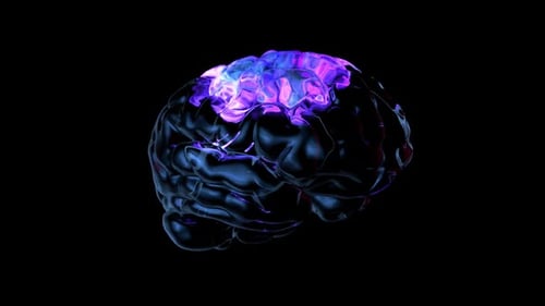 Cerebro humano con visualización abstracta
