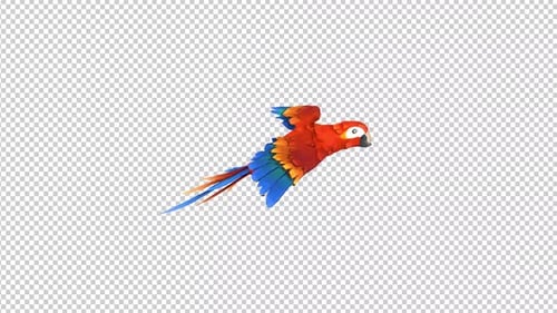 Toon Parrot Happy Fly2