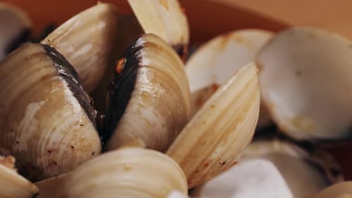 Moules marinara avec sauce à l'ail, citron et persil, repas espagnol et français classique, macro, gros plan