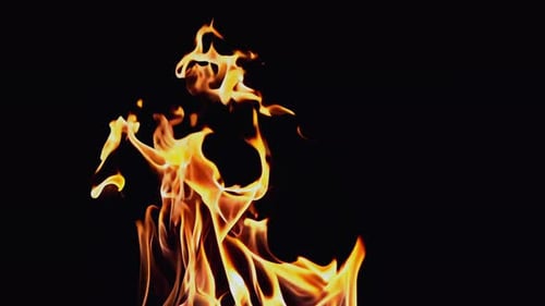 Vibrant Flames Dancing in Darkness