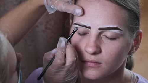 Building the Shape of Eyebrows Tint Procedure of Natural Henna Beauty Salon