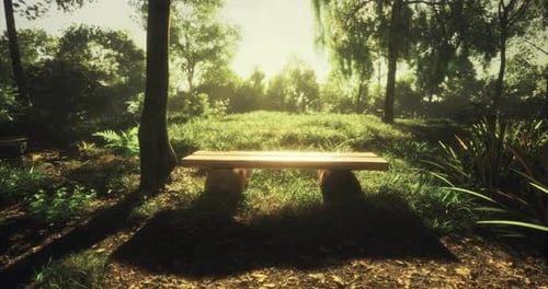 Serene Wooden Bench in Peaceful Forest During Golden Hour Sunlight