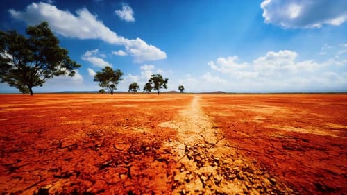 Arid Desert Landscape with Cracked Earth and Scattered Trees