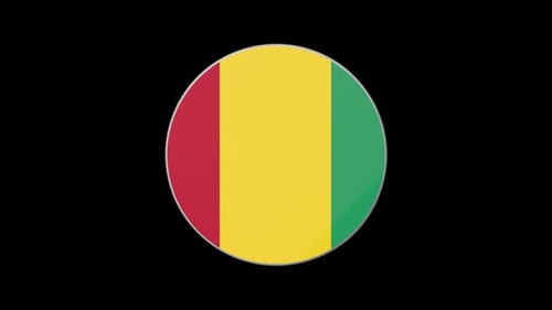 3D Spinning Guinea Flag Circular Motion Graphic