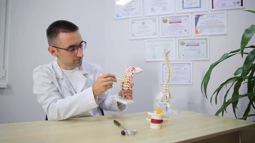 Doctor Examines Spinal Model in Office