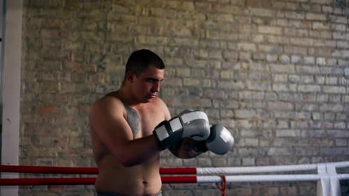 in a Boxing Fight Club a Young Boxer with Tattoos in Gray Gloves Trains Combo Punches Professional