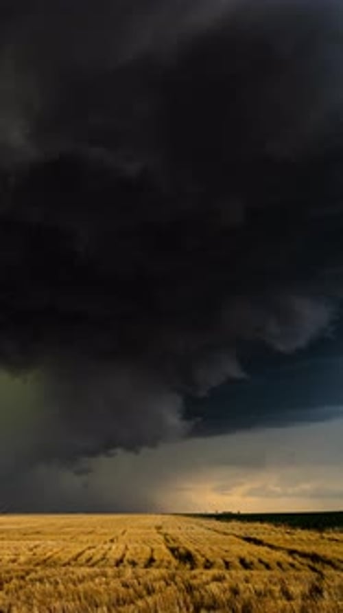 Stormy Weather Over Golden Field in Rural Setting