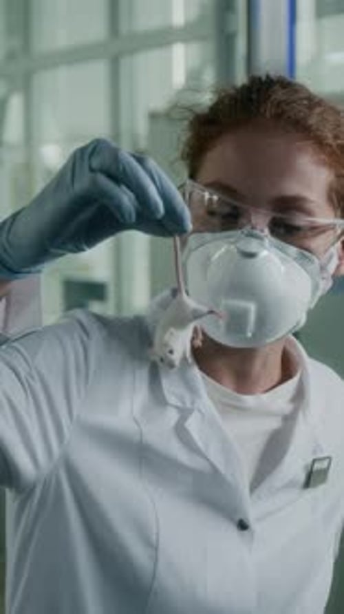 Scientist Holds White Mouse in the Laboratory