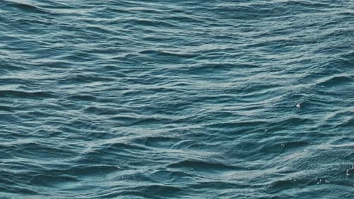 Wavy Surface of Blue Sea Water
