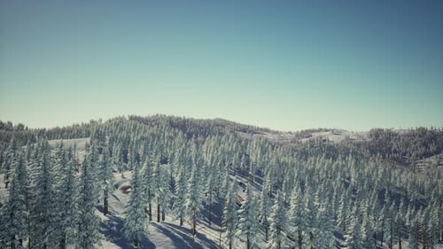 Splendide paysage alpin en hiver