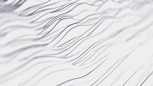 Minimalist Fluid Wavy Lines Motion Background Loop