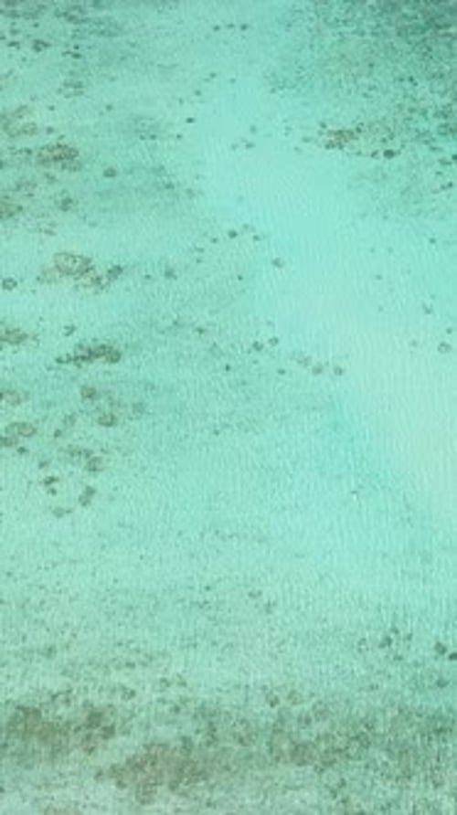 Tropical Sea with Turquoise Water