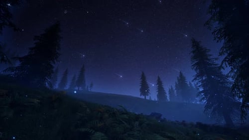 Night Forest Landscape with Shooting Stars and Milky Way