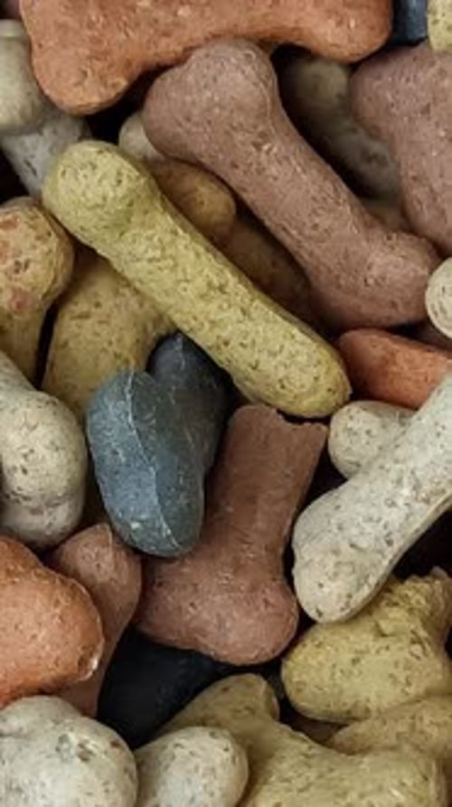 Vertical Video of Dog Biscuits