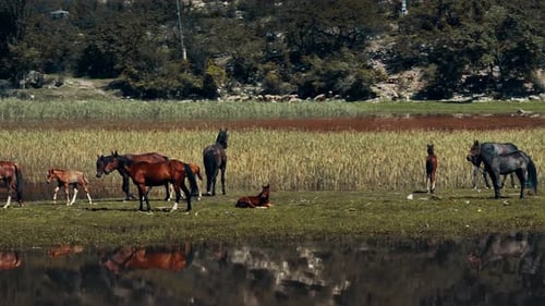 Vista aérea de belos lugares turísticos e da natureza com a montanha do Daguestão