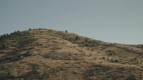 Desert hills with sparse shrubs, view from a moving car.